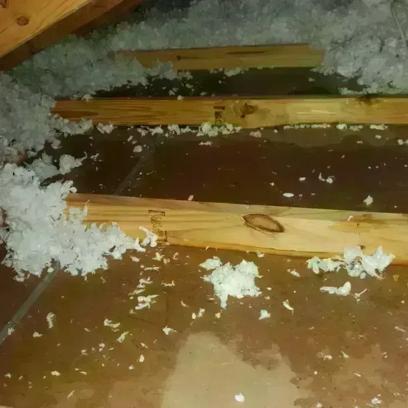 Attic Water Damage in Van Meter, IA